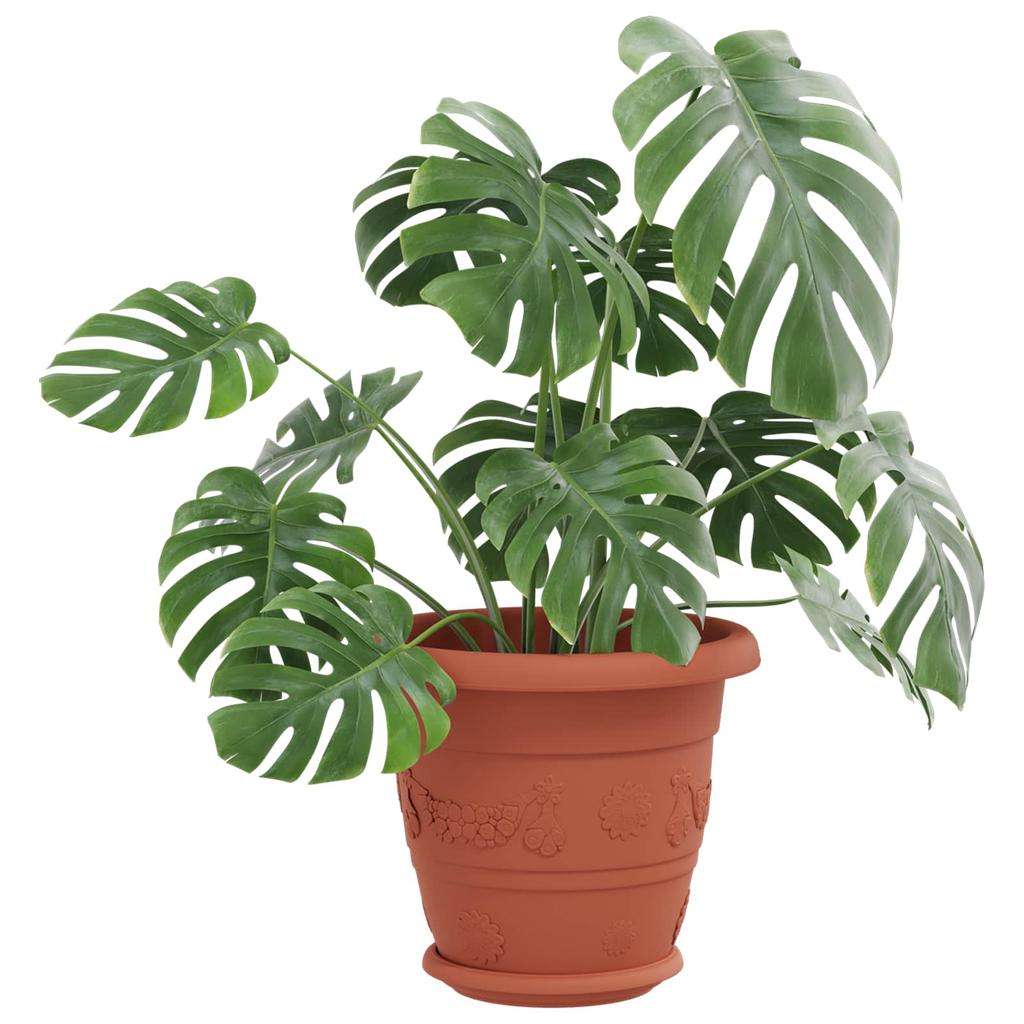 Flower Pots 6 Pcs Terracotta Red Ø 22 X 18 Cm Plastic