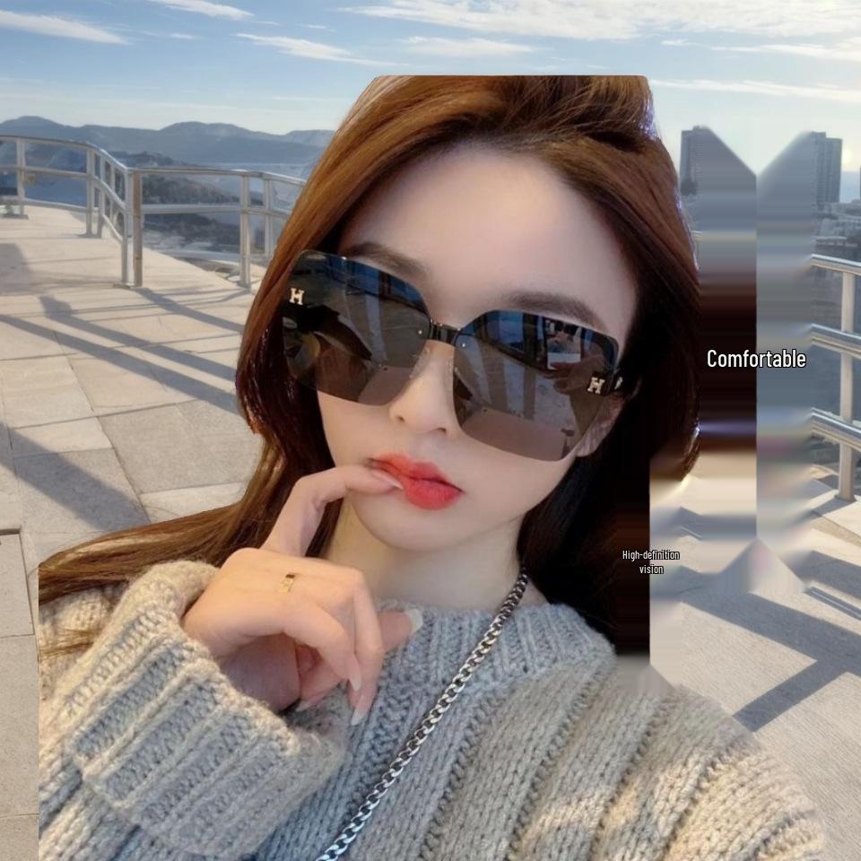 

Introducing the Emma Women s Trendy Sunglasses: Large Frame, Slimming, Influencer-Inspired, Light Luxury, and Perfect for Street Style.