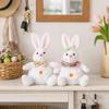 with Lanyard Easter Plush Bunny Cartoon Easter Stuffed Rabbit Spring Rabbit Ornament  Bedroom Decor