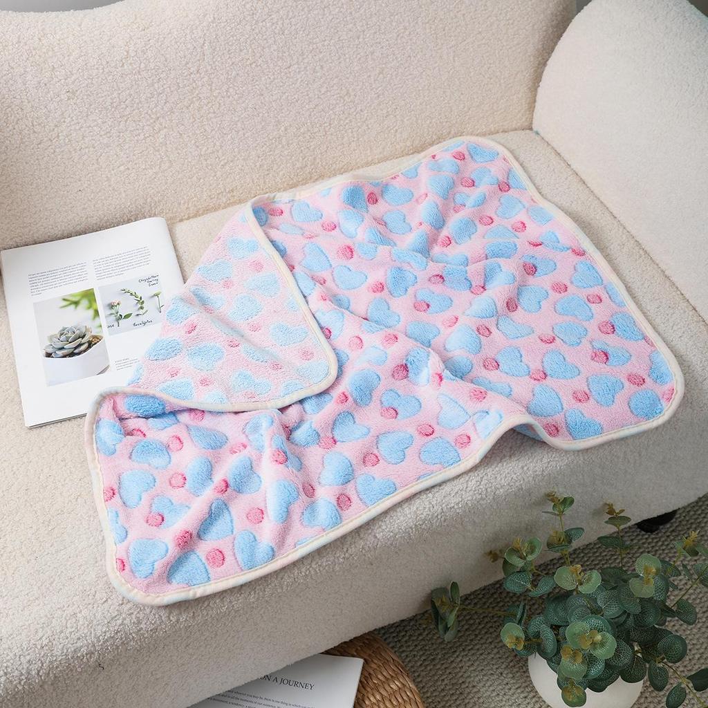 Pet Mats & Blankets: Thick Coral Fleece for Dogs & Cats