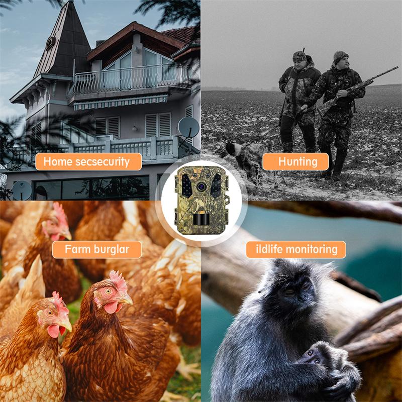 1080p Jagd-Hinterkamera Wildkamera mit Nachtsicht Mobile Start Outdoor-Hinterkamera Ip65 Wasserdicht Wildtier-Scouting