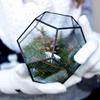 Nordic Geometric Glass Preserved Flower Decor for Home, Coffee Shop, or Wedding