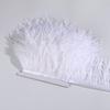 Ostrich Feather Trim 8-10cm 10-15cm 10Meters Fringe White for Clothes Ribbon Skirt Plumas Plume Decoration Wedding Party