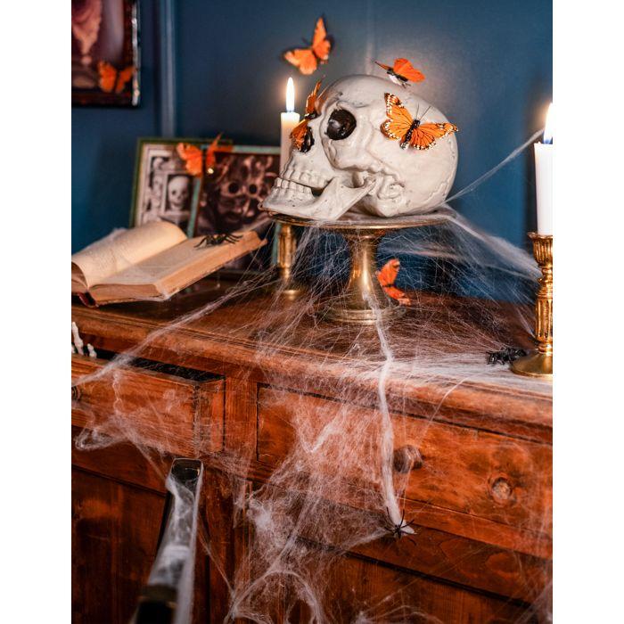 Décos et animations - Toile d'araignée blanche avec araignées 100 g Halloween