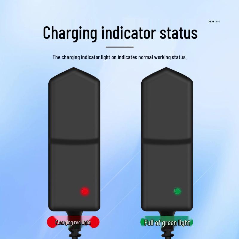4.2V/8.4V/12.6V/16.8V 1A Lithium Battery Charger for 18650 Polymer Batteries