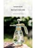 Garden Pressure Sprayer: Multi-Use Watering Can for Flowers & Cleaning
