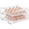 Japanese Double-Layer Refrigerator Egg Storage Box