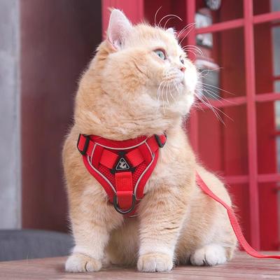 New Cat Leash Pet Vest Type Chest Back Small Dog Breathable Belt Reflective Anti-break Free Walking Cat Leash