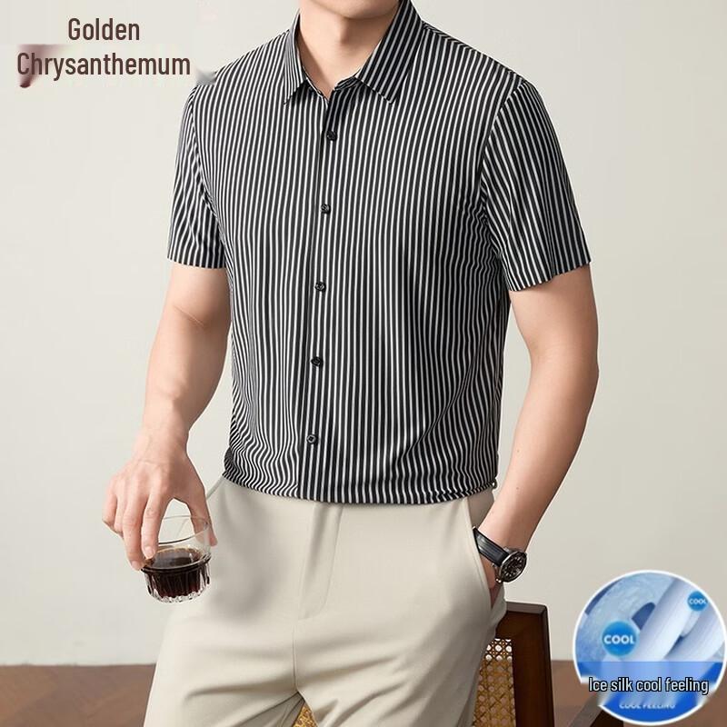 

Jinjum Men s Non-Iron Elastic Striped Short-Sleeve Shirt 4XL