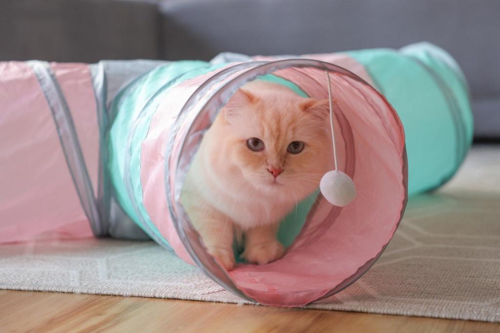 Tunnel pour chat - kerbl - triangle - turquoise/rose/gris - 80 × 50 × ø 25 cm