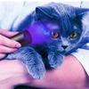 Портативний УФ-ліхтарик 20 Вт, 365 нм, USB-перезаряджуваний, сухий клей, що твердіє, Виявлення сечі домашніх тварин, ручна ультрафіолетова лампа, світлодіодне підсвічування