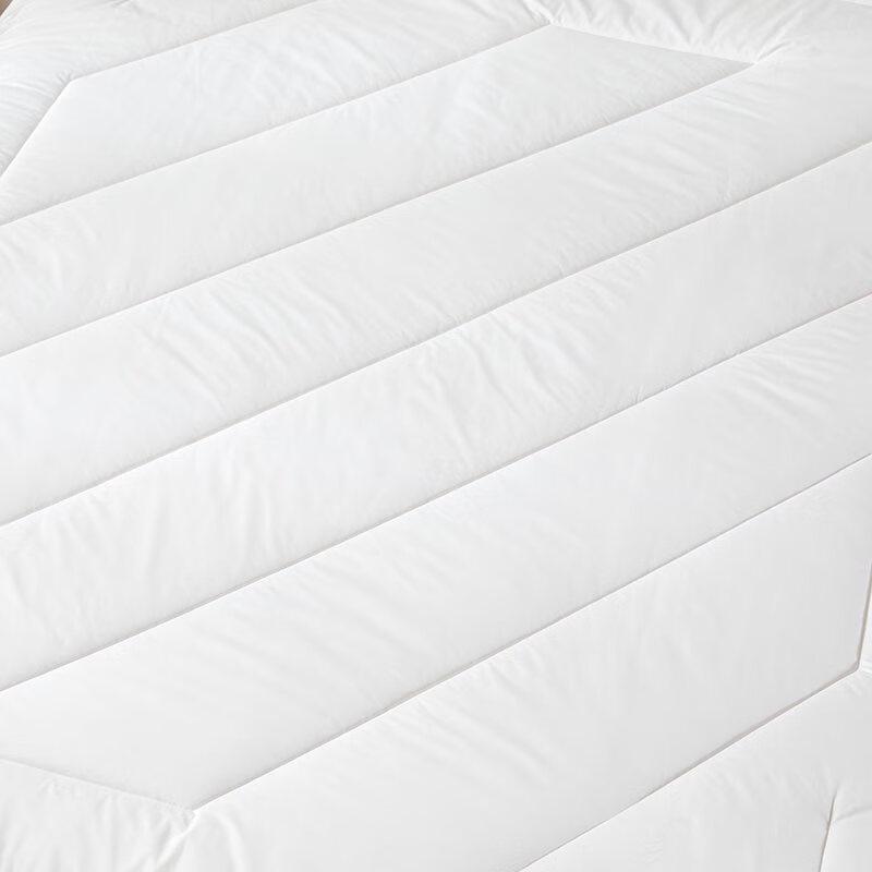 Luolai Home Textiles TG Series 100% Wool Quilt