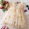 Korean Style Girl Dress With Embroidered Flowers And Tulle For Toddler Girls