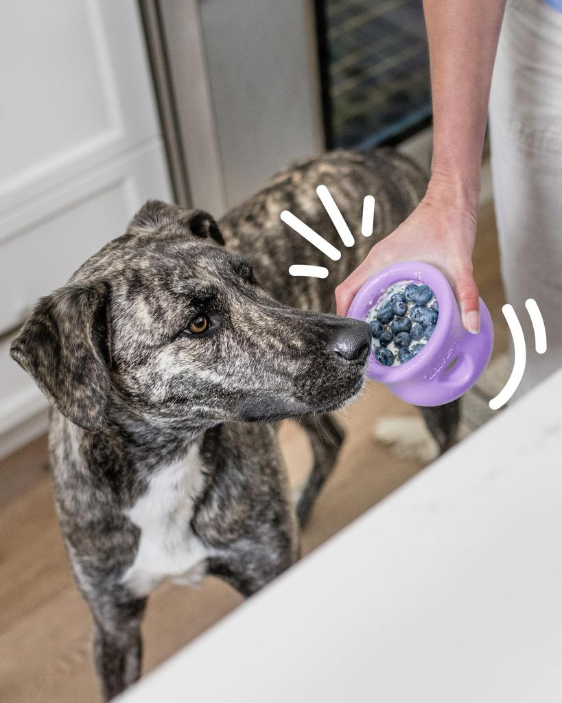 West Paw Dog Toy Educational Toy Zogoflex Tapple Limited Color Lavender S Size