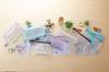 Raymay Fujii Kept Pen KPF603K Case, Clear, Navy,