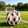 1pc Cats Harmony Theme Soccer Ball Football, Size 5, Lightweight PVC, Durable Outdoor Training Soccer Ball, Gift M61484
