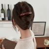 Large High Ponytail Clip Barrettes Womans Hairpins Korean Simple Twist Hair Clip  Girl