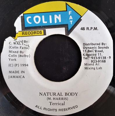 7-Zoll Schallplatte TERRICAL - Natural Body 450 Colin Fat Recor 1994 Jamaika Reggae, Ska & Dub Gebraucht