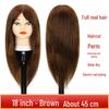 Real Hair Mannequin Head for Hairdressing: Perfect for Barber Apprentices, Perming, Dyeing, Cutting, Blowing, and Styling.