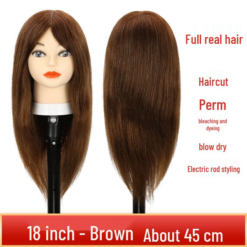 Real Hair Mannequin Head for Hairdressing: Perfect for Barber Apprentices, Perming, Dyeing, Cutting, Blowing, and Styling.