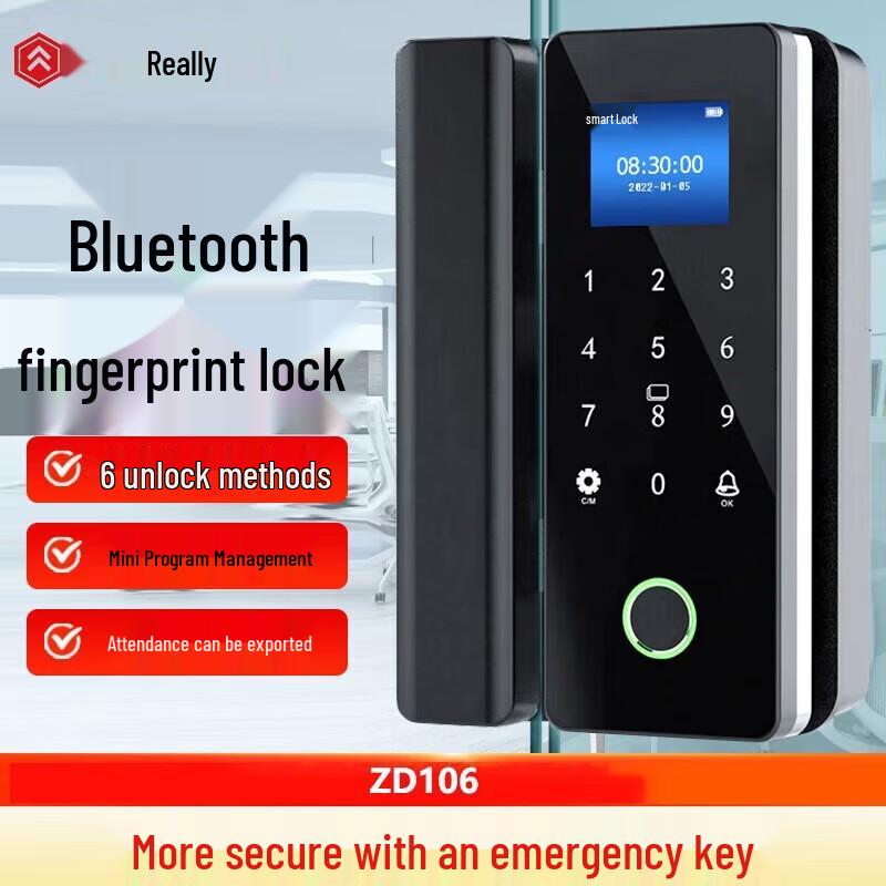 Realand ZD106 Smart Glass Door Lock