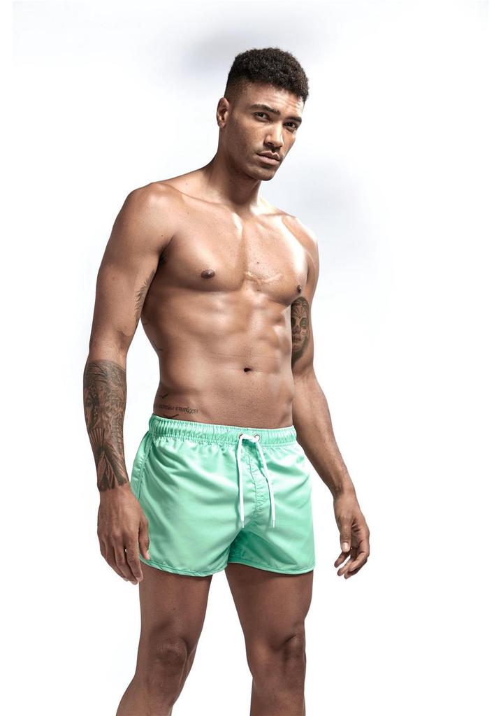 Men's Multicolor Polyester Running and Beach Shorts