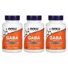 NOW Foods GABA 500mg with Vitamin B-6, 100 Veg Capsules, 3-Pack