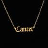 Stainless Steel 12 Zodiac Constellation Necklaces Letter Aquarius Aries Gemini Pisces Leo Sagittarius Pendant Necklace for Women