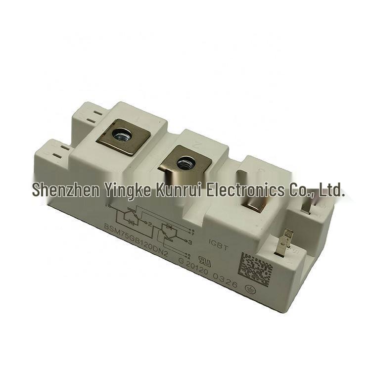 BSM75GB120DN2, BSM50GB120DN2, BSM50GB120DLC, SKM100GB125DN Semiconductors