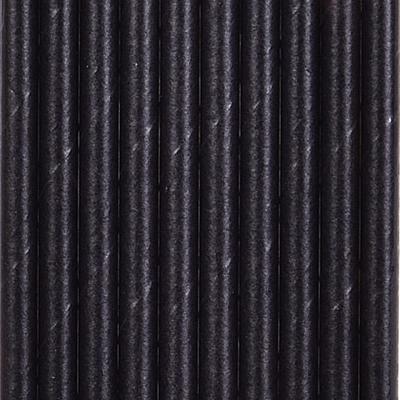 Black Paper Straws 10 Pcs
