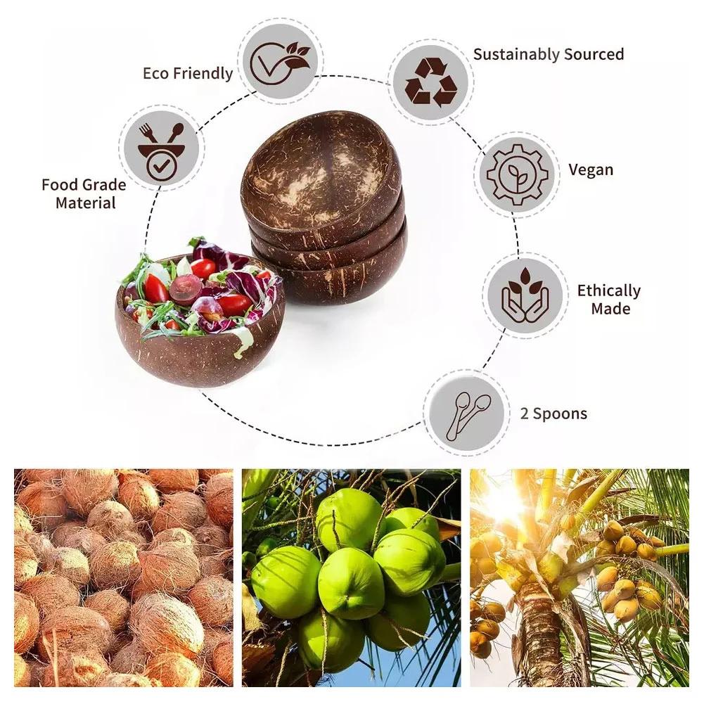 Natural Handmade Coconut Shell Bowl with Wooden Spoon Creative Wooden Salad Ramen Bowl Rice Fruit Container Kitchen Tableware