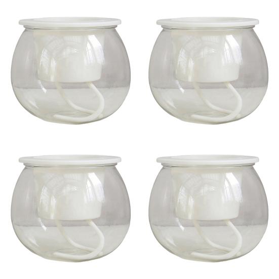 Self Watering Plant Pot Flower Pot with Transparent Reservoir Clear Self Watering Planter for Indoor Plants Flowers African Violets