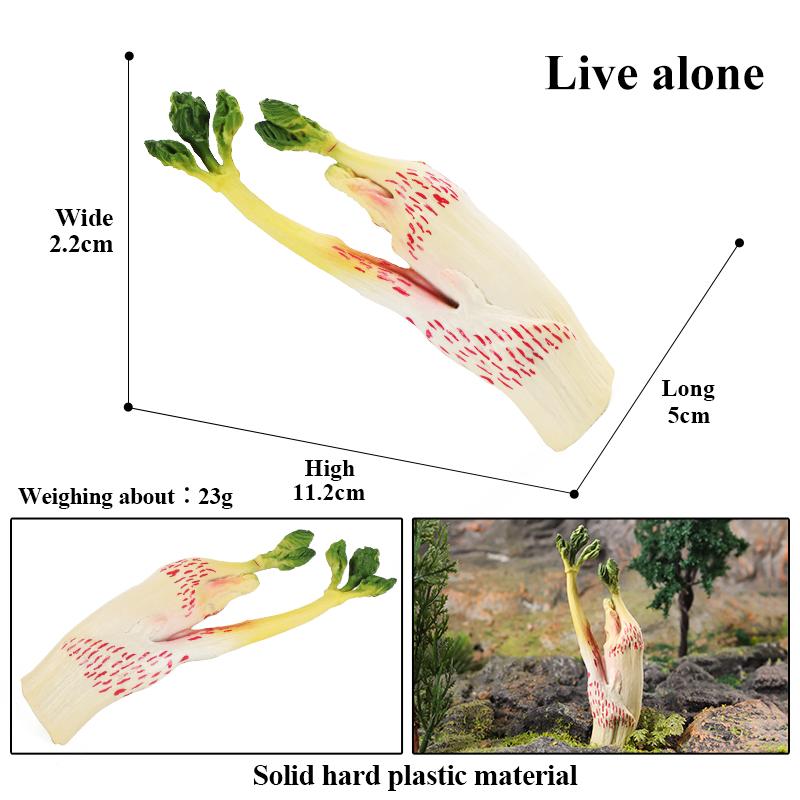 Oenux Pretend Play Toy Cute Fruits Vegetables Mushroom Model Cake Toppers Foods Jouet Family Fun Early Education For Kids Gift