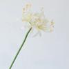 Wedding Decorative Artificial Flowers Silk Red Spider Lily Hall Decoration Simulation Flower 67cm Pink Red Spider Lilies Branch