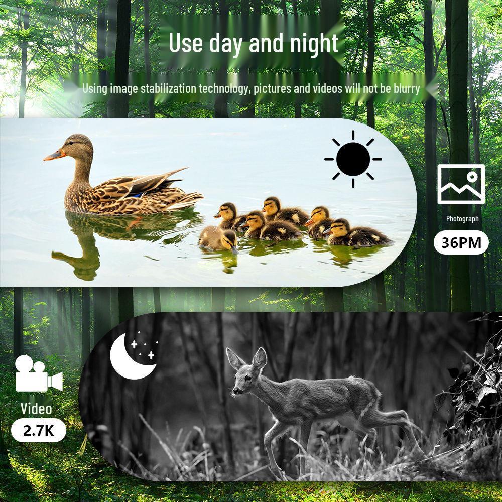 NV7000 Infrared Night Vision Outdoor Camera - High-Definition, Waterproof, with Photo Capability
