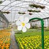 Daisy Sprinkler Head With Rotating Nozzle For Garden Watering And Childrens Play