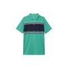 Polo Shirts Men's Green Polo Collar Moderate Straight Fit BV0471-370