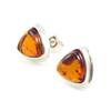 Les Trésors De Lily [I8956] - Amber 'Inspiration' Silver Earrings