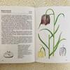 [USED] Foreign books, old books, Czech botanical encyclopedias, bulbous plants, tuberous plants, tulip cover
