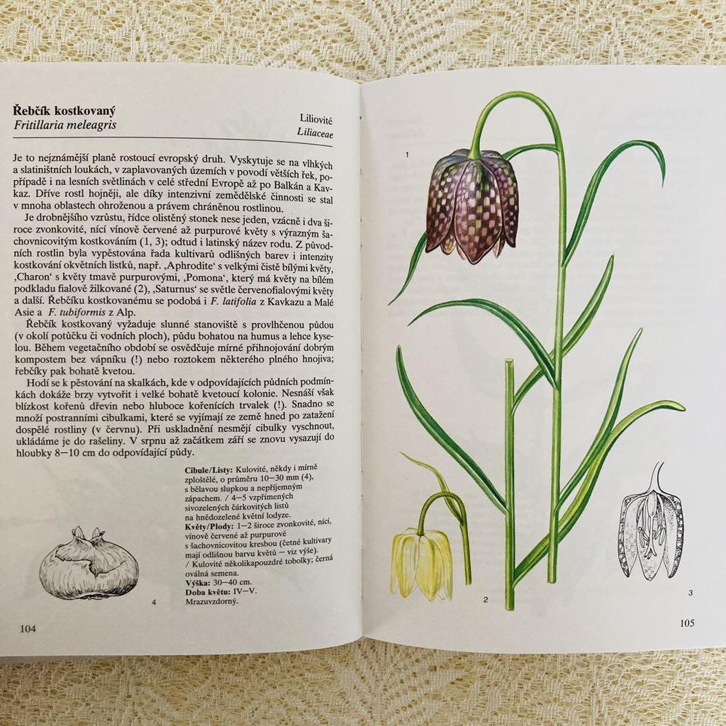 [USED] Foreign books, old books, Czech botanical encyclopedias, bulbous plants, tuberous plants, tulip cover