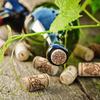 50Pcs Straight Corks Stoppers for Bottle Wine Great for DIY Crafts Home Decors