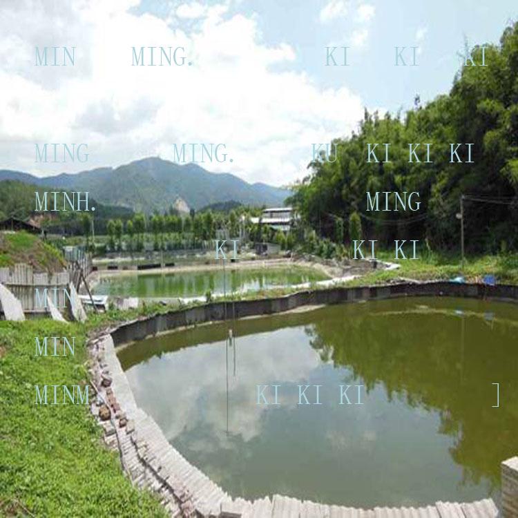 Mississippi Map Turtle Hatchlings - Outdoor Pond Pets, Small Deep Water Turtles, Internet Favorites