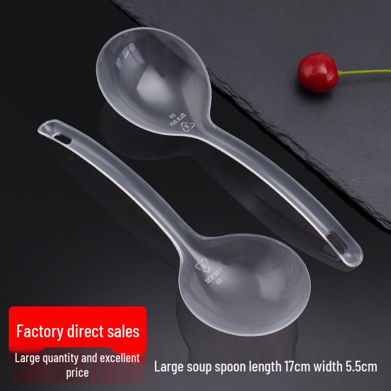 Handun Disposable Plastic Serving Spoons