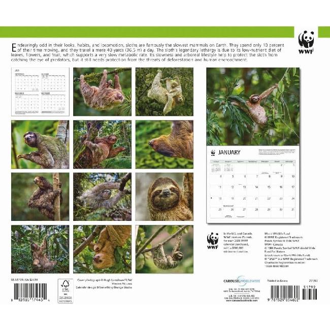 Carousel Calendars, Sloths WWF 2026 Wall Calendar, 12.01'' X 14.09'', 16-Month Calendar with Stapled Binding