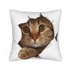 Cat Paw Pillowcase Printed Polyester Cushion Cover Decoration Fruit Throw Pillow Case Cover Home Zippered 40*40Cm