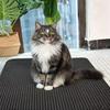 Double Layer Non-Slip Cat Litter Mat, Waterproof & Wear Resistant Pet Cleaning Pad