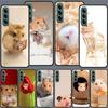Süße Niedliche Haustier Hamster Handyhülle Für Samsung A55 A35 A25 A15 A54 A34 A24 A14 A70 A71 A50 A51 A17 A05S Galaxy A40 A41A30 A31 A2