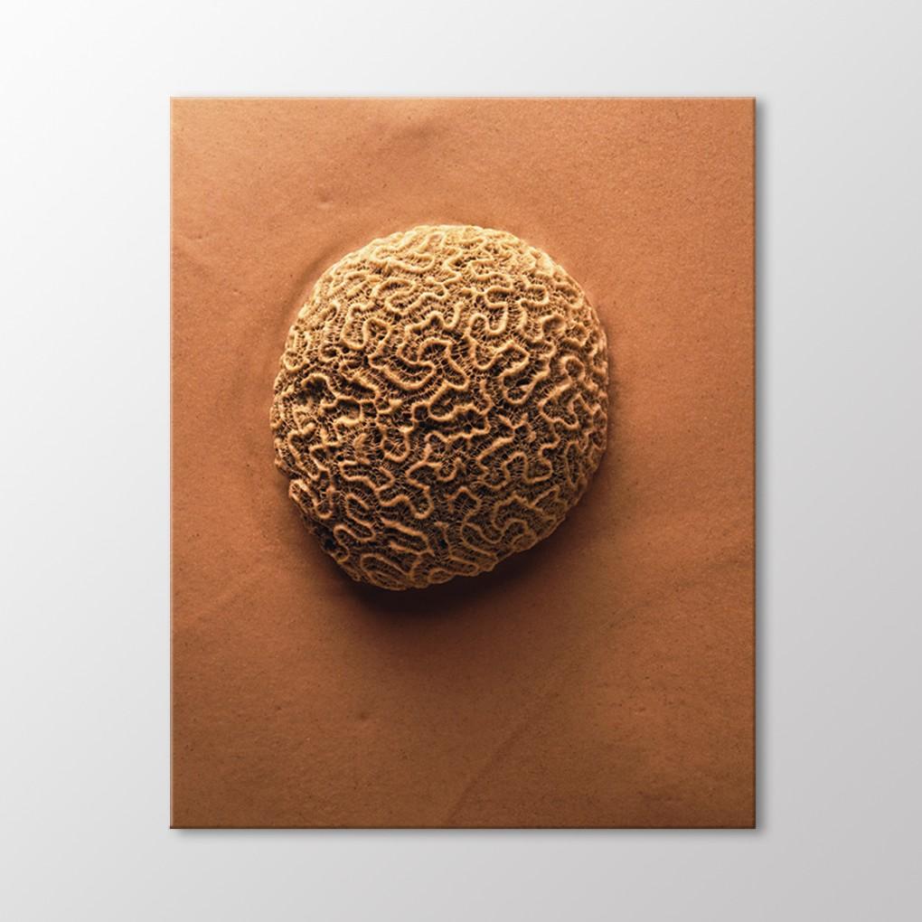 

Таблица фигур в камне