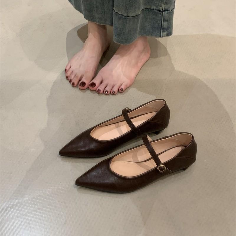 Pointed Mary Jane shoes women's shoes autumn 2025 new shallow mouth versatile thick heel with skirt one-word belt single shoes