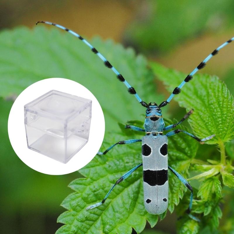 6 szt. Przezroczyste Pudełka-Lupy na Owady Dla Dzieci Eksploracja Natury Kwadratowy Wzór z Soczewką Obserwacyjną Przybory do Klasy Naukowej